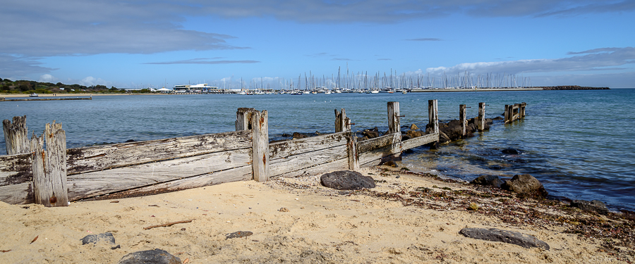 Sandringham Beach