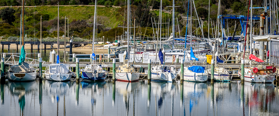 Sandringham Yacht Club