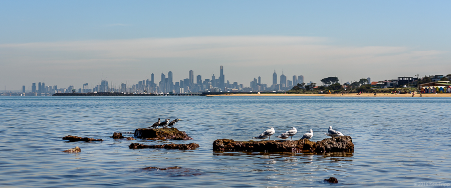 The city from Brighton Beach