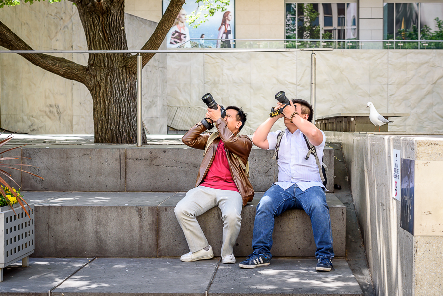 Synchronized -Swanston Street