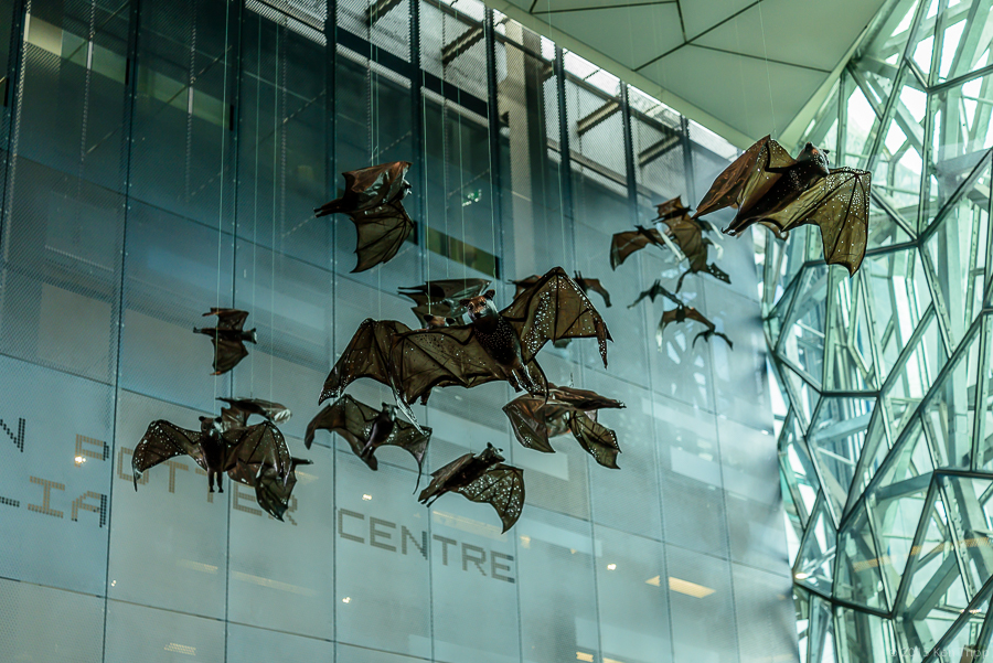 Batmania at Fed Square