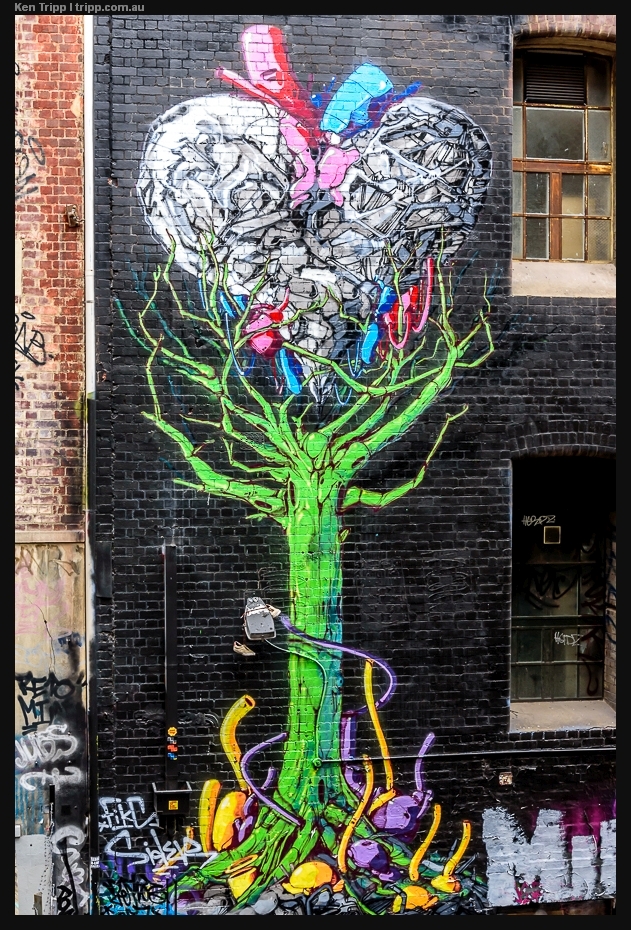 Rutledge Lane