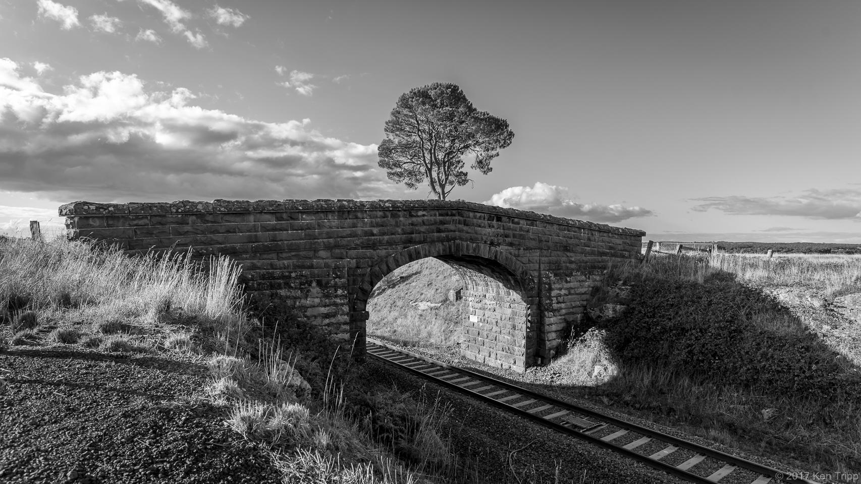 Bluestone bridge and a tree