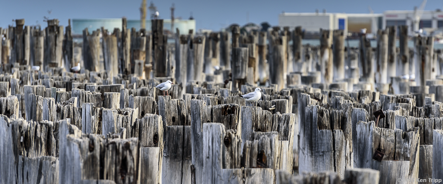 Princes Pier