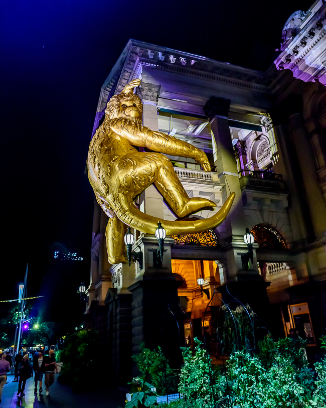 Golden Monkey